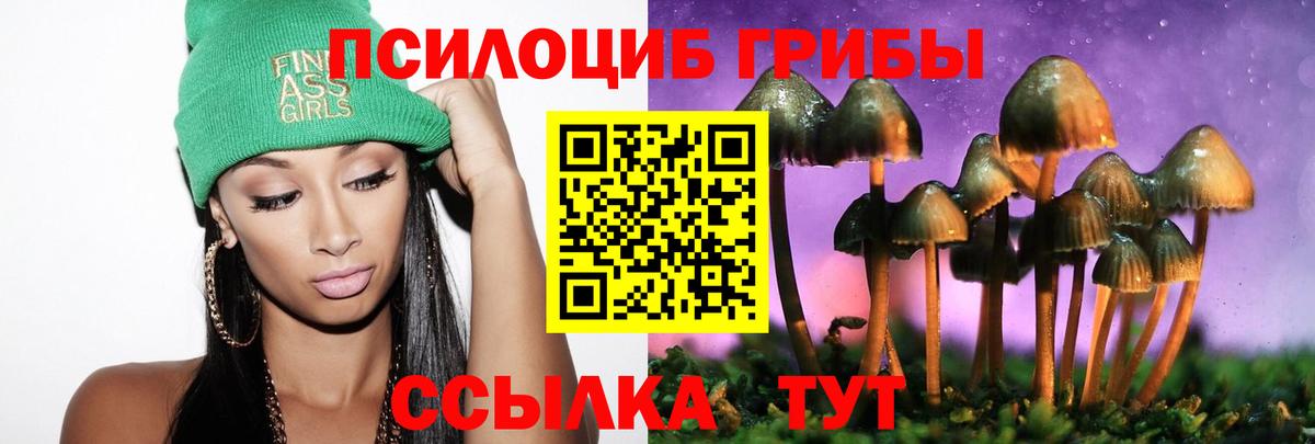 Азнакаево  где купить наркотик  Вход с VPN  Псилоцибиновые грибы мицелий 
